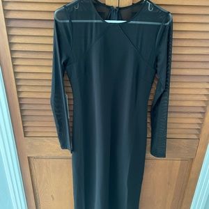 Anthropologie Sheer-Sleeve Dress